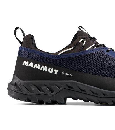 Обувки Mammut Alnasca IV Low GTX Men