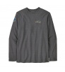 Блуза Patagonia Lightweight Unity Fitz Wildrise Crew M's